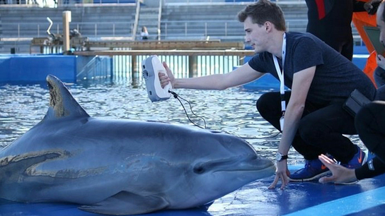 3D scanning with Artec Eva for state-of-the-art marine animal tracking