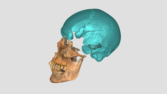 Nepal archeology mission