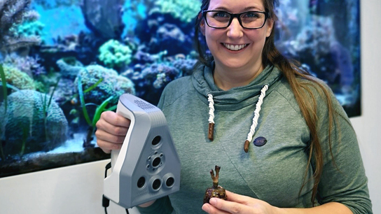 Coral scanning
