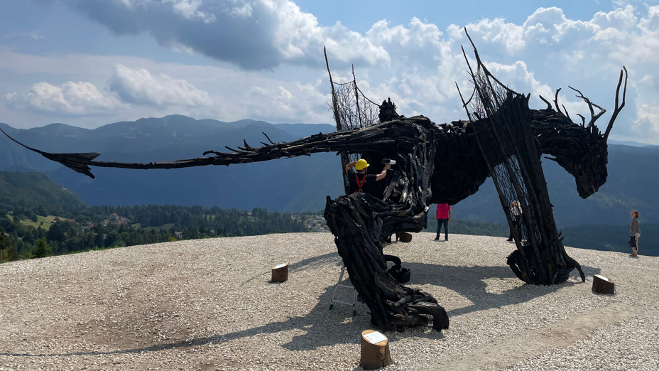 Drago di Vaia