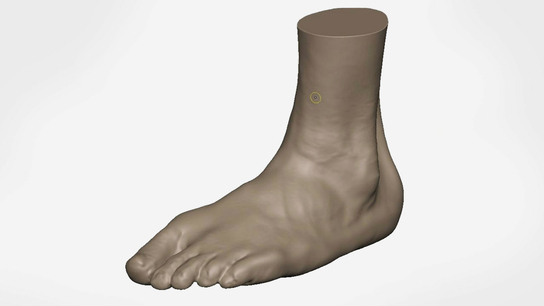 ROI of 3D scanning for custom orthotics