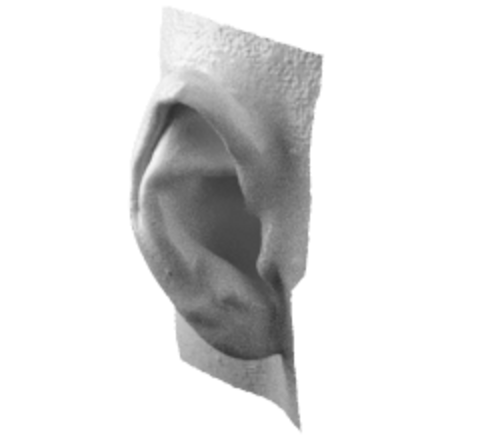 Ear