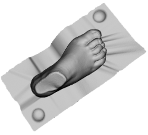 Foot mold