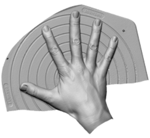 Top of hand