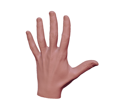 Hand