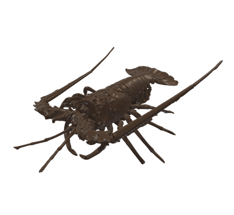 Lobster HD