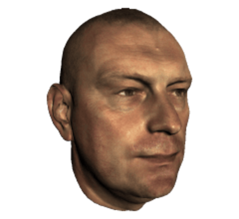 Face