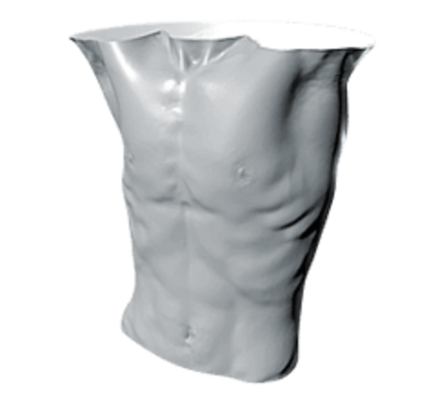 Torso